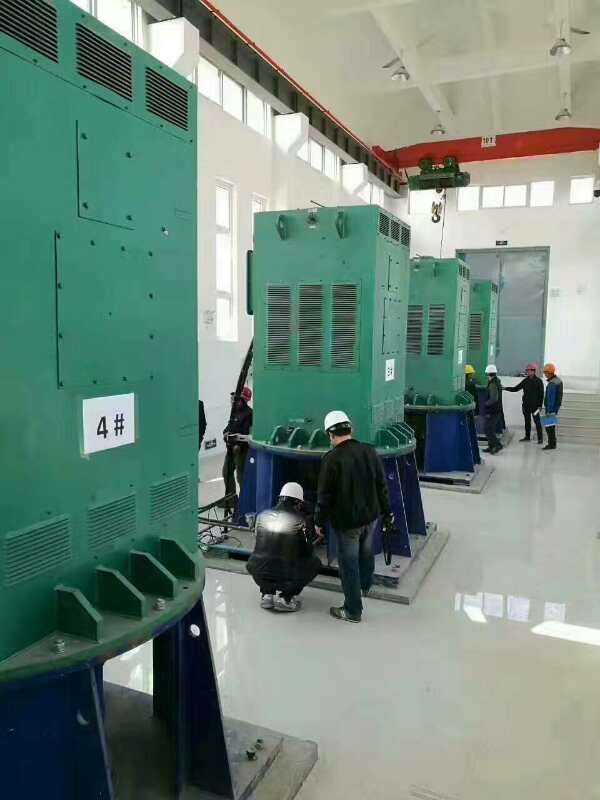 东洲某污水处理厂使用我厂的立式高压电机安装现场